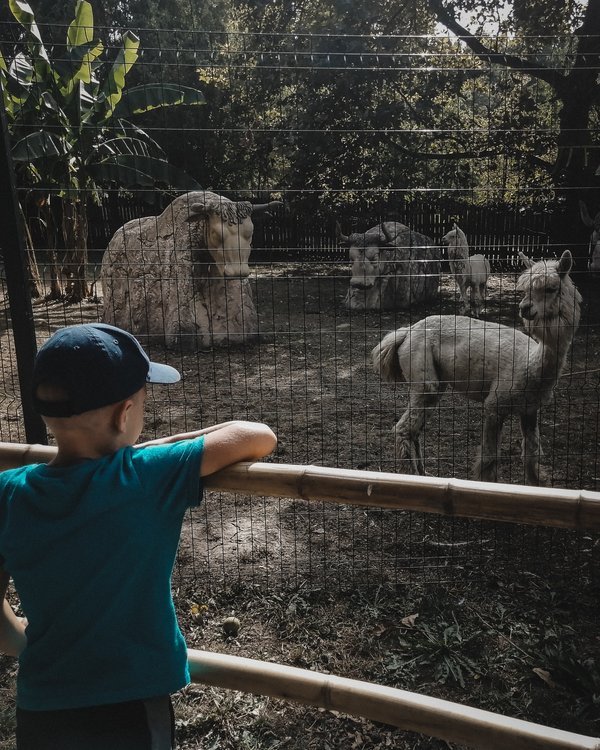 A quels montants les tarifs du Zoo de Beauval se fixent-ils?