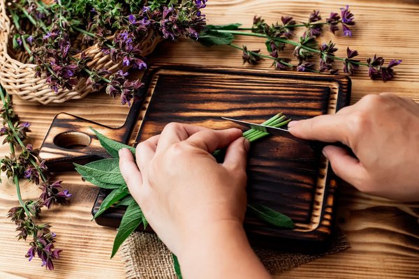 Comment consommer les plantes médicinales?